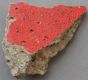 Piece of the Berlin Wall